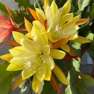 Meet your Posher, Darlene